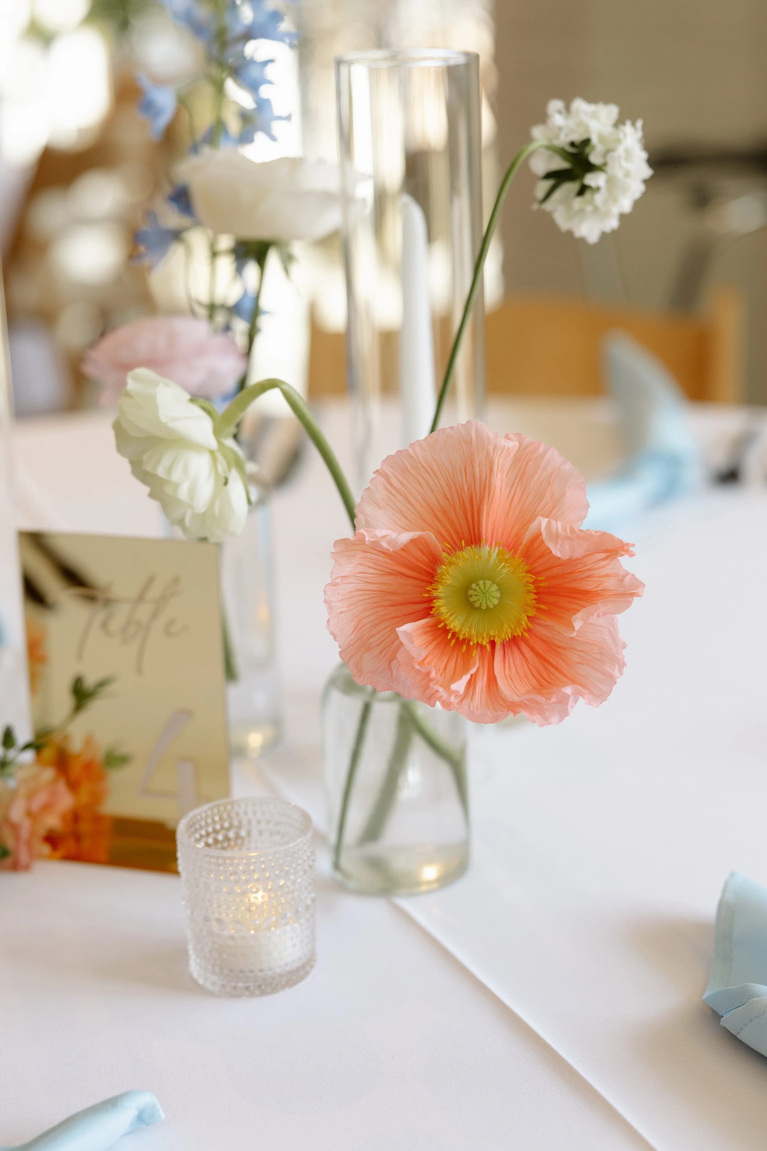 Photo Credit: Madelyn Grace Photography