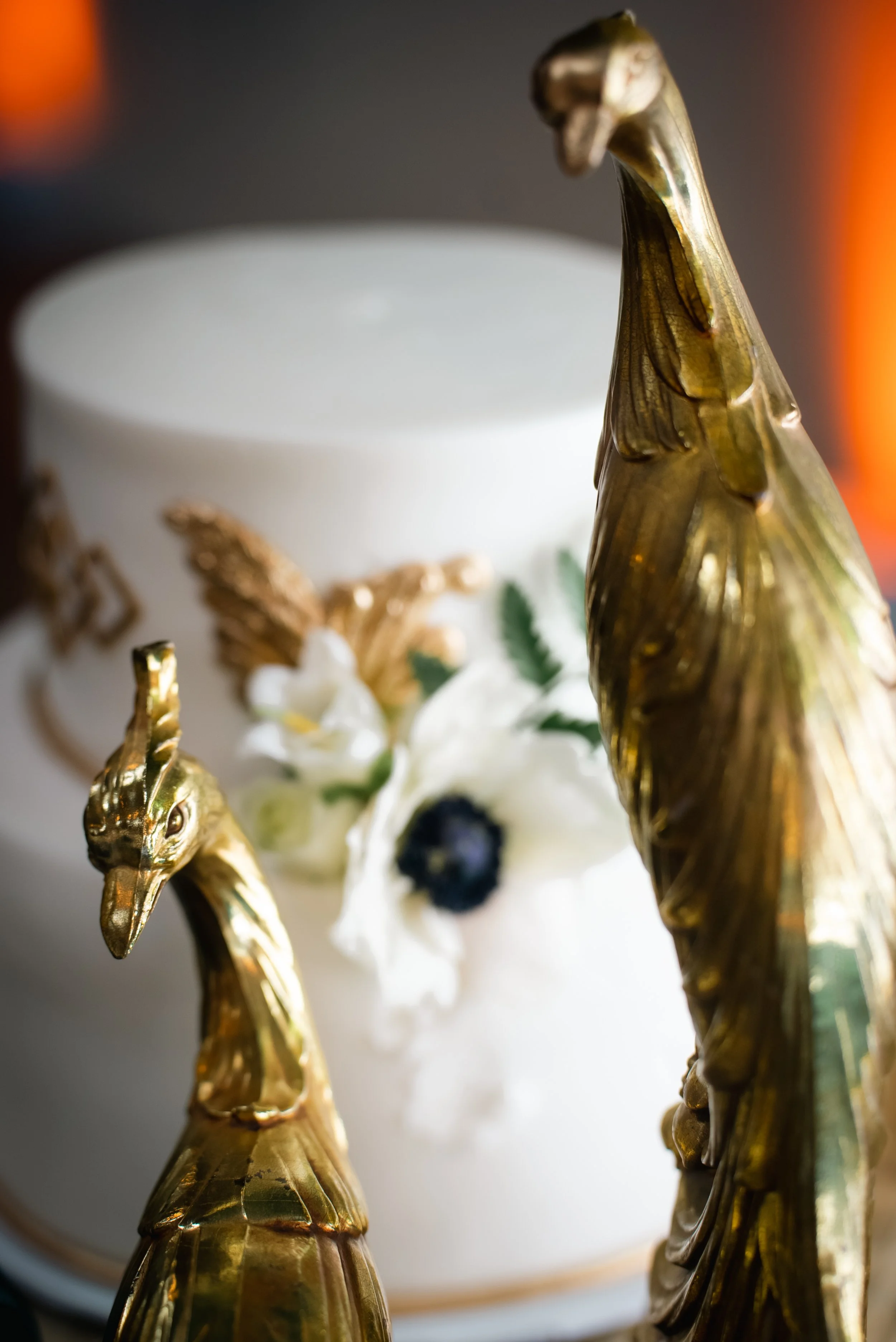 Photo Credit: Brad Ryan Photography