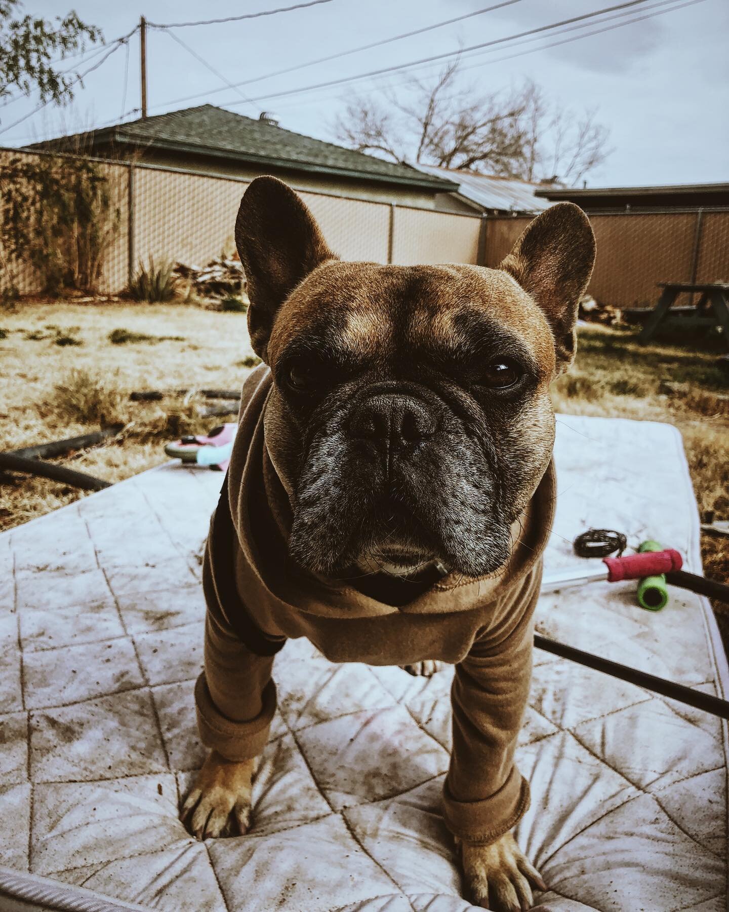 Meet Larry&mdash;today&rsquo;s home rehab supervisor. Needless to say, this Barstow property was ruff when we started. With Larry&rsquo;s guidance, this place will be beautiful and ready to hit the market in no time.