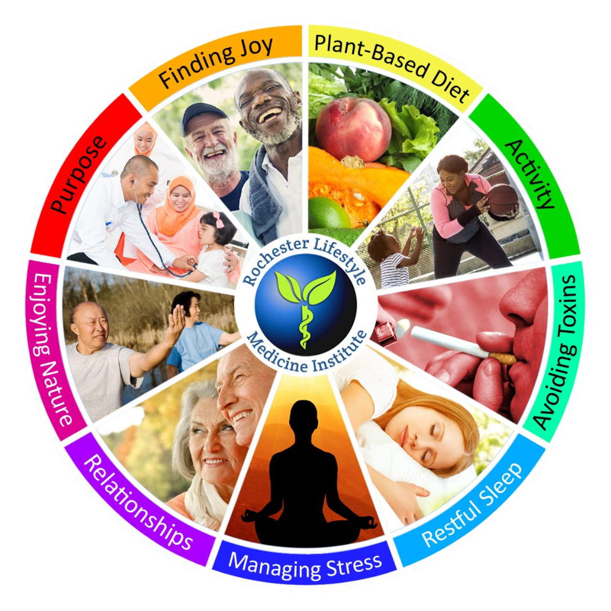 What Are the 9 Pillars of Lifestyle Medicine?