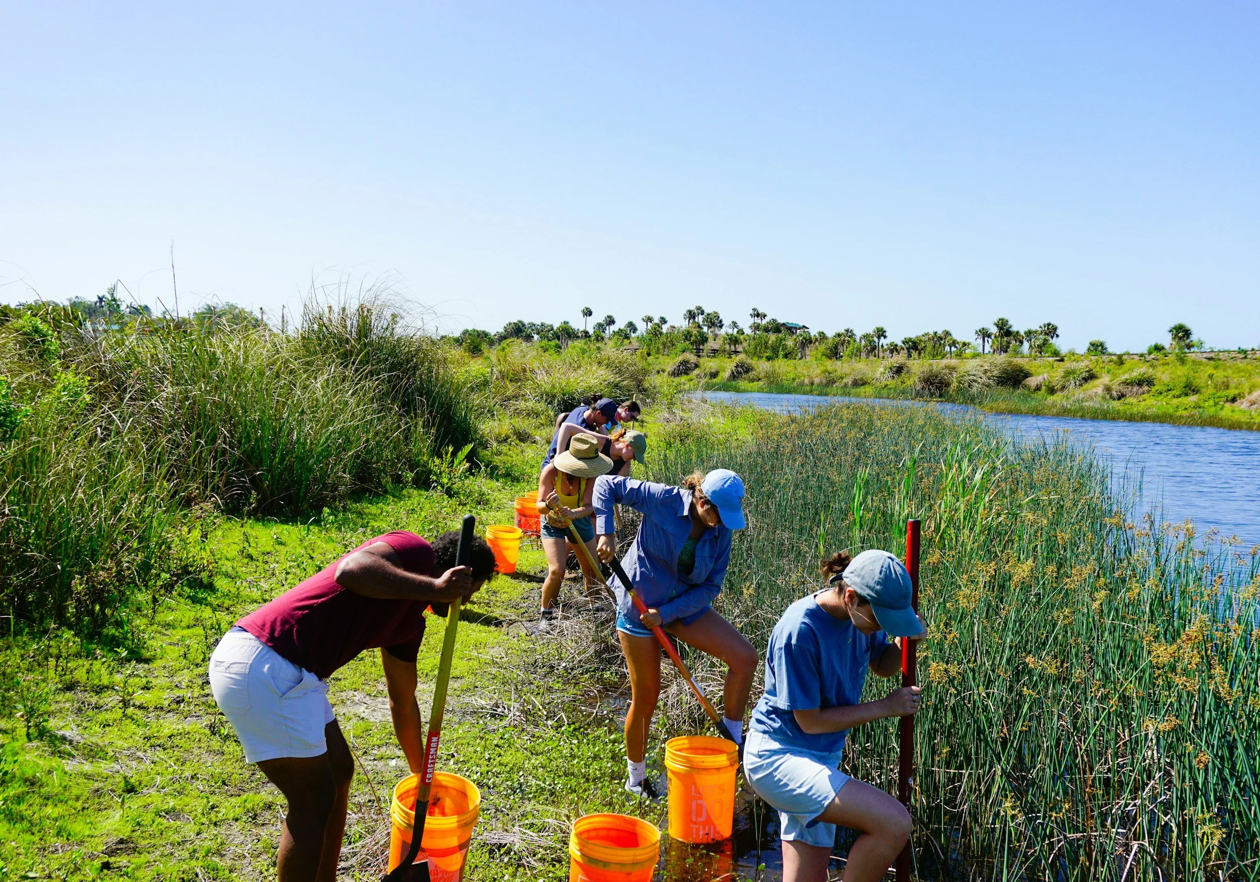 Group of volunteers working together on a habitat preservation project.