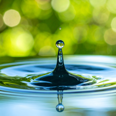 How Eating Plants Protects People and Planet