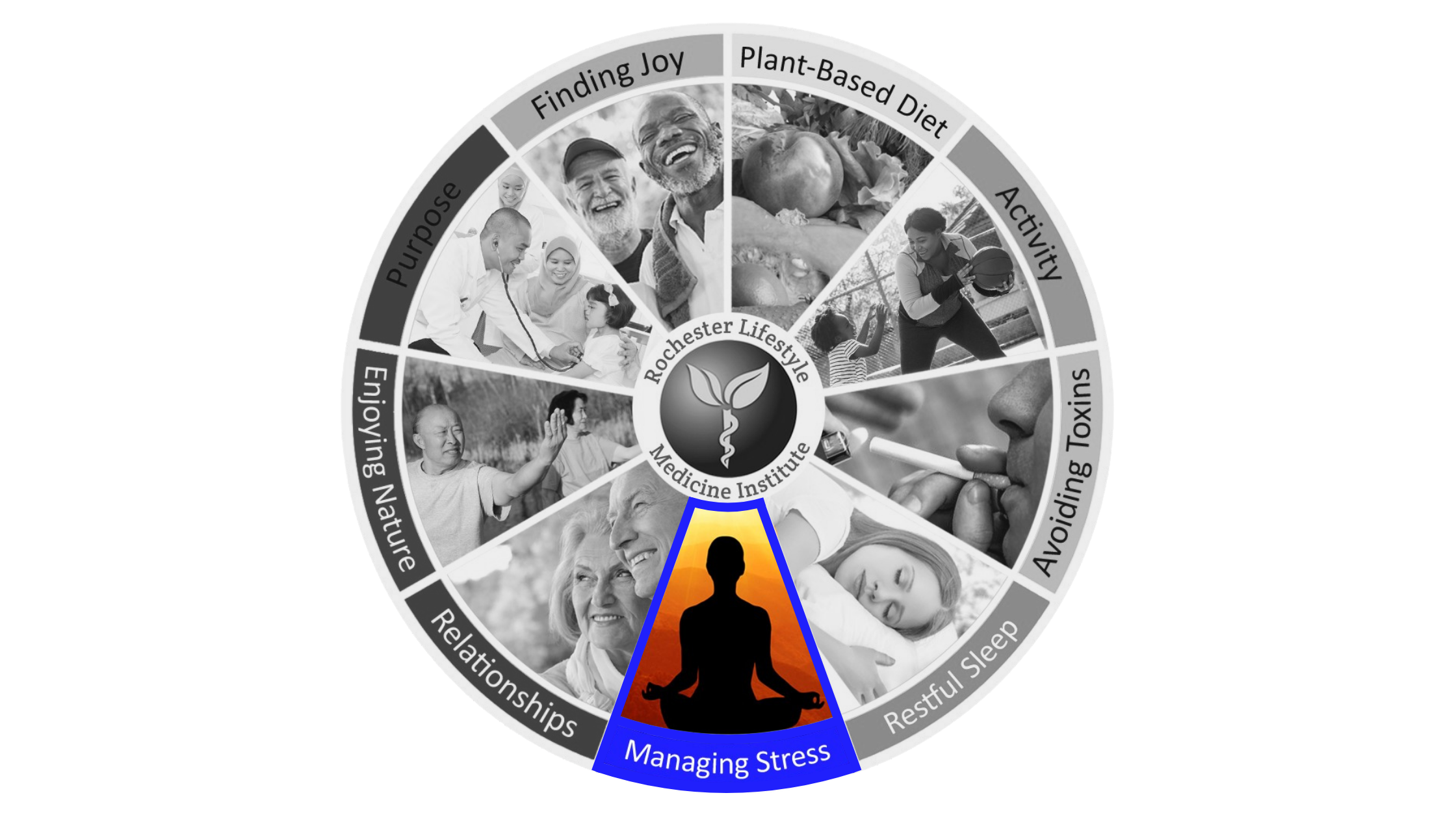 RLMI wellness wheel graphic, highlighting the fifth pillar of lifestyle medicine: Managing Stress