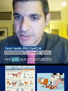 Screenshot 2026-05-06 193658.png