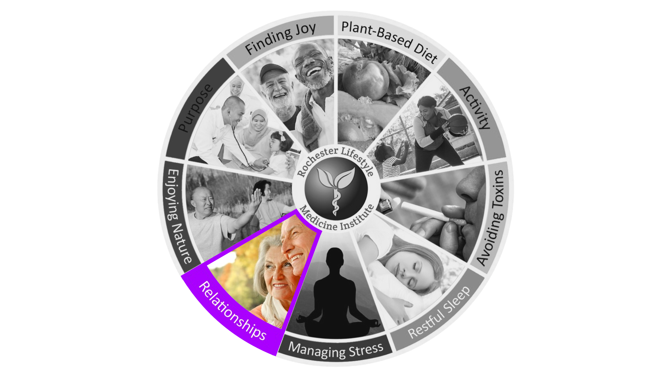 Wellness wheel highlighting the sixth pillar of lifestyle medicine: Healthy Relationships