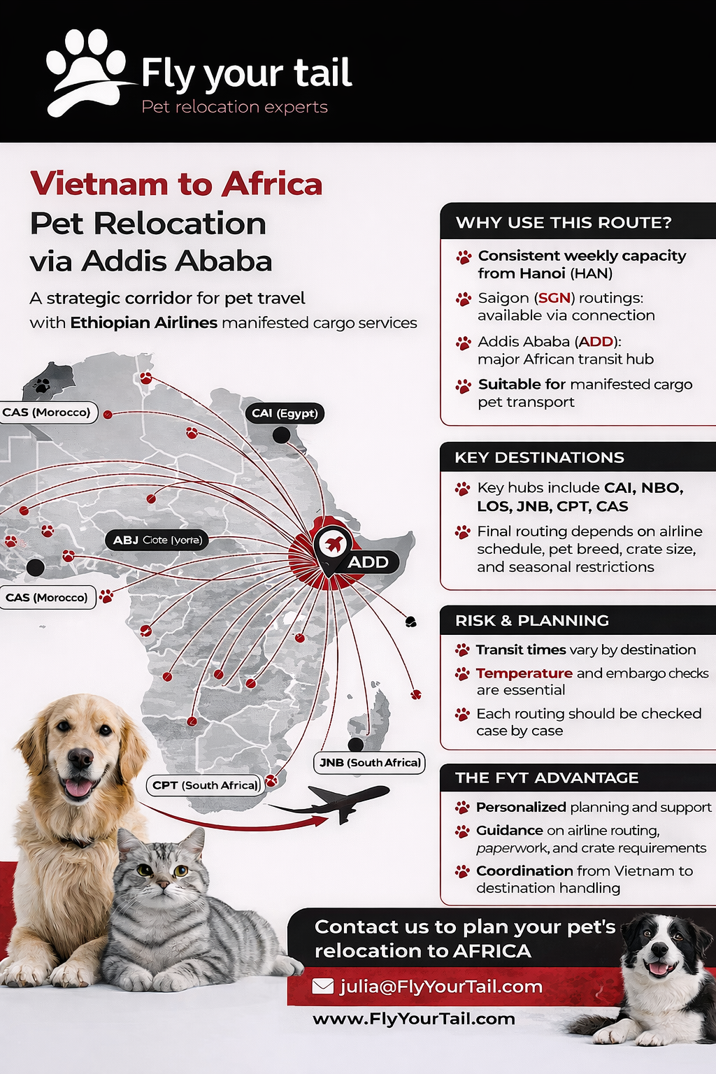 Vietnam to Africa Pet Relocation: Complete Guide