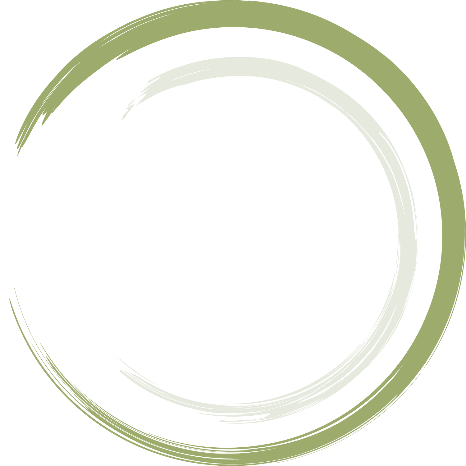 Spinweber Strategies
