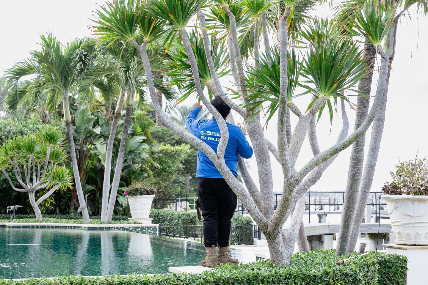 Ensuring perfection isn't an easy task. The team at Greenscape Design go to great lengths to make sure your landscaping looks top notch. 
.
.
.
📸 @greenscapedesign_inc
👉 Have Branding/Commercial photography needs? Let's connect and see how I can he