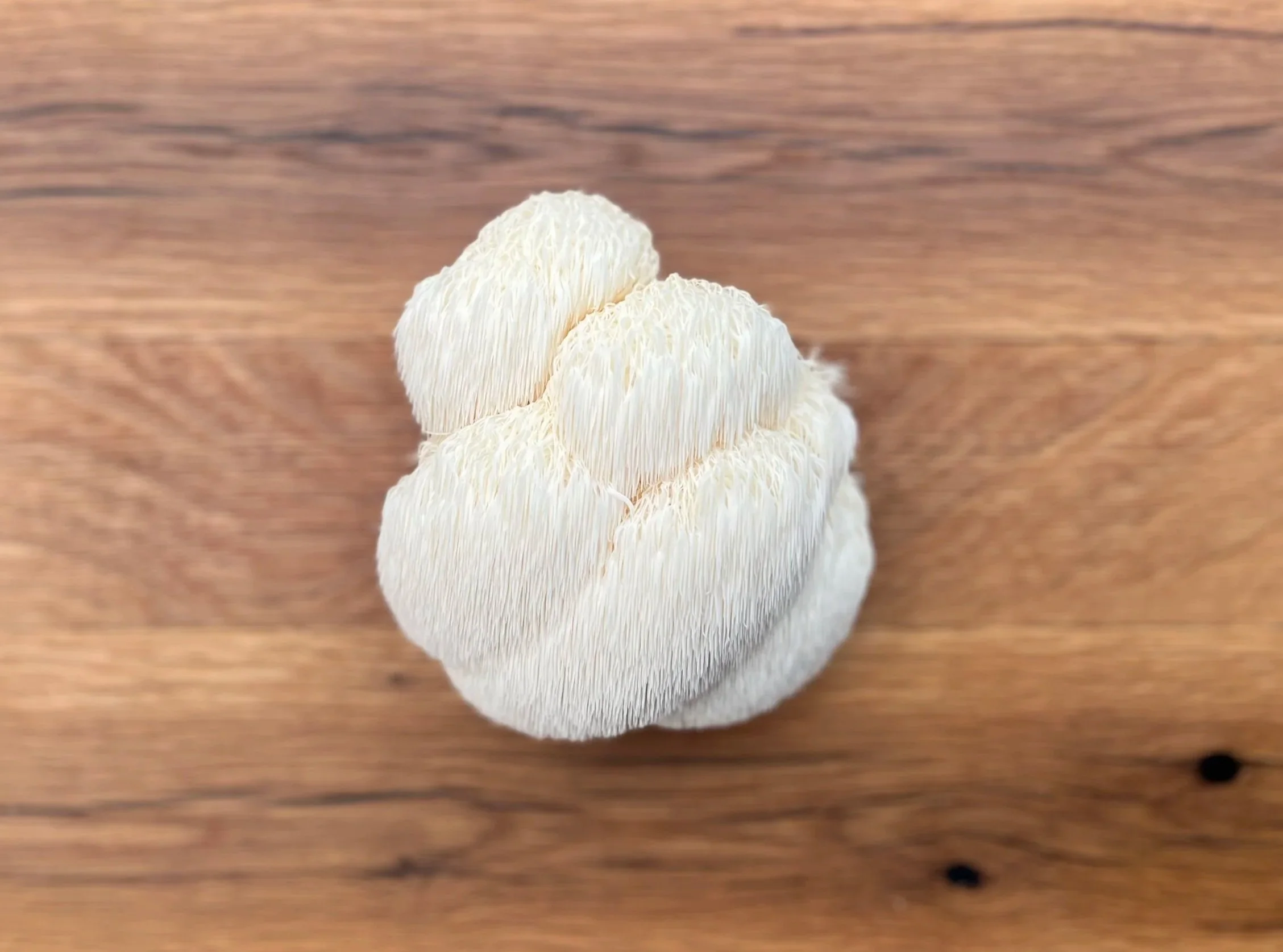Fresh maitake mushroom on a wooden surface.