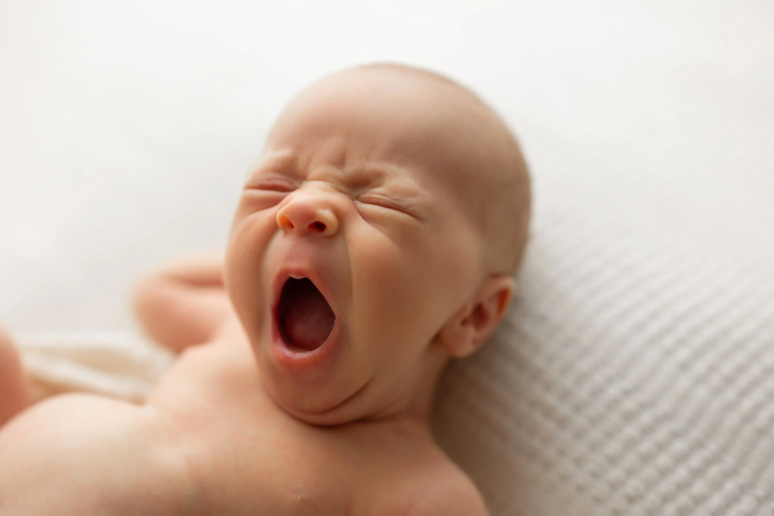 Huether {BTS}-10.jpg