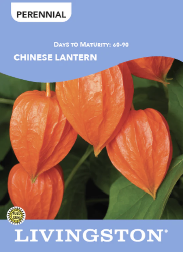 Chinese Lantern
