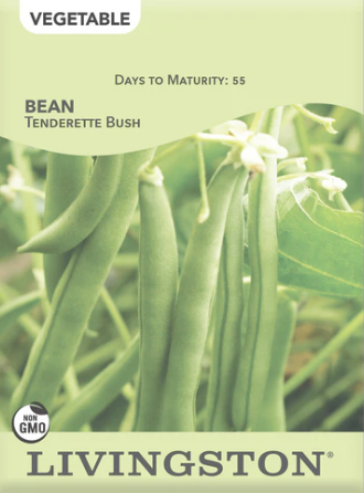 Bean Tenderette Bush