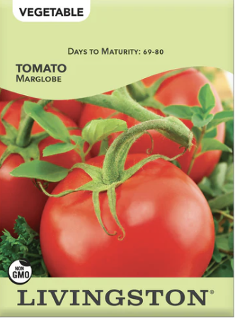 Tomato Marglobe
