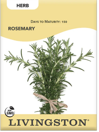 Rosemary