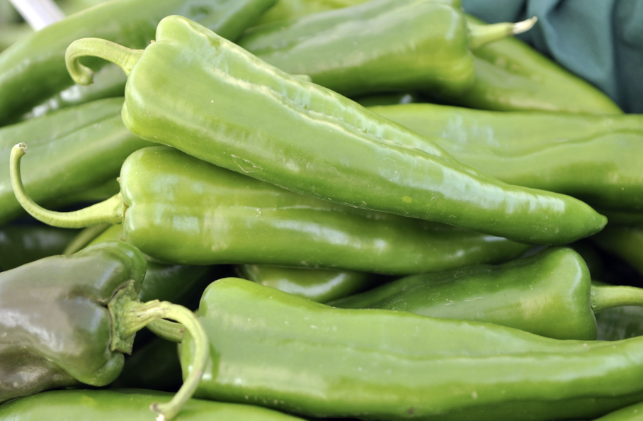 Anaheim Pepper