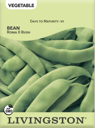 Bean Roma II Bush