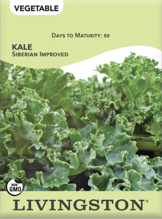 Kale Siberian Improved