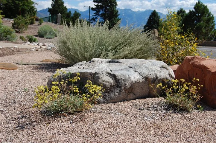 Water-wise native plants surrounding a rock garden in Utah.