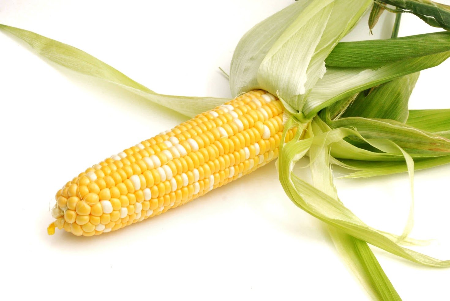 Schmidt's famous Sweet bicolored Corn "Salt and Pepper"