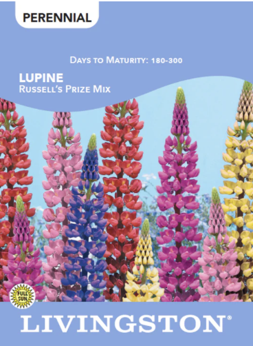 Lupine Russell's Prize Mix
