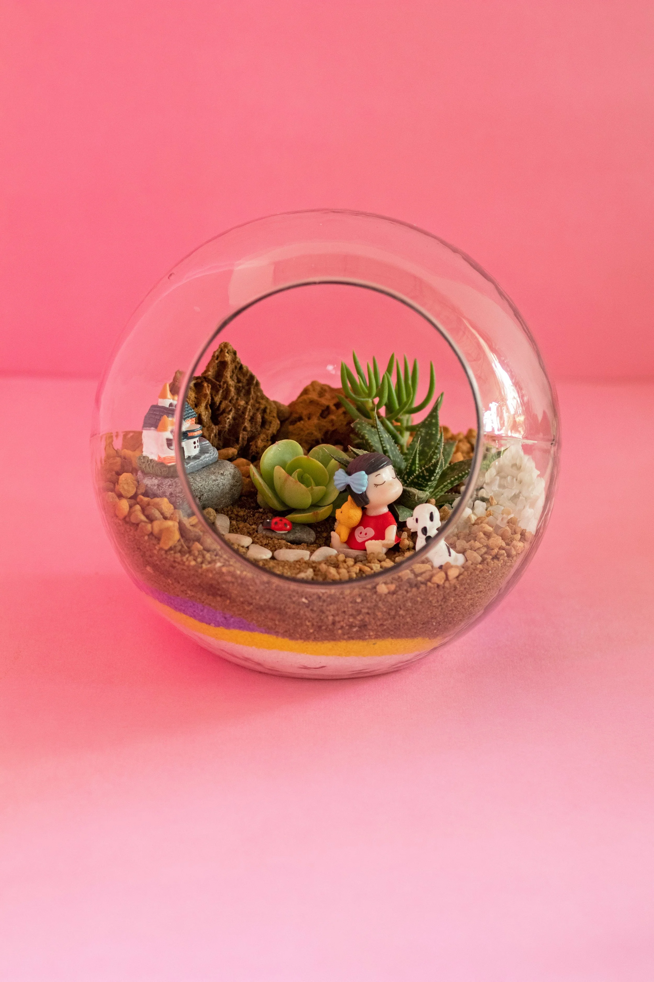 Terrarium Class