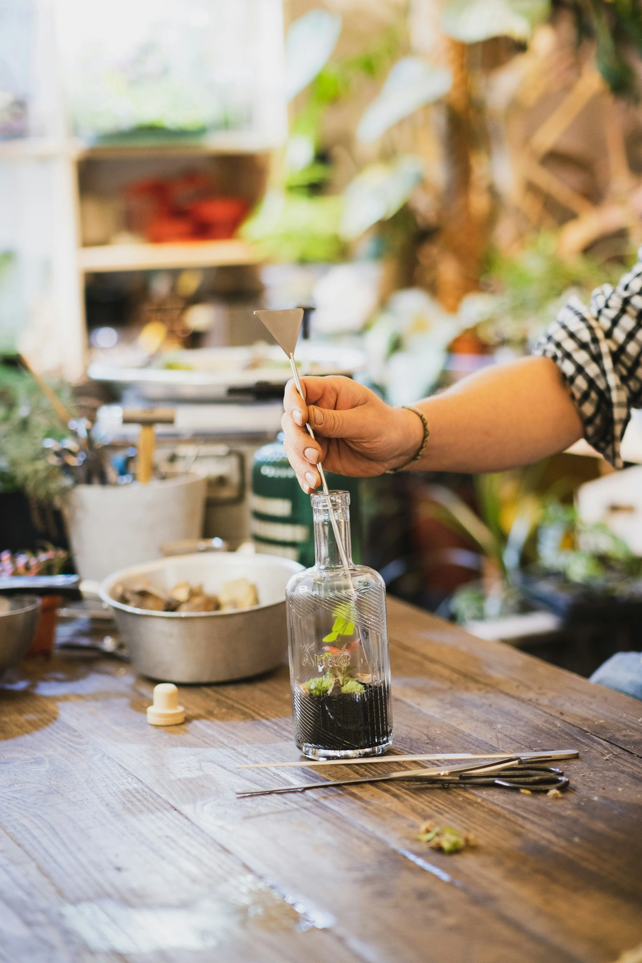 Terrarium Class September 25th 