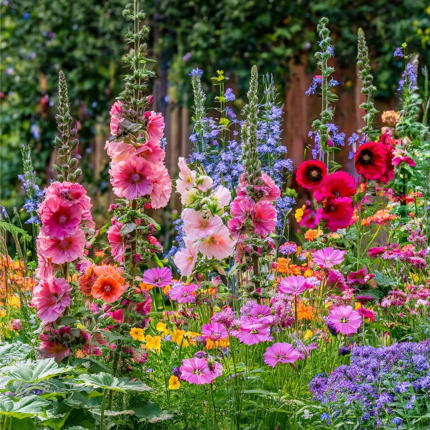 Cottage Garden Classics