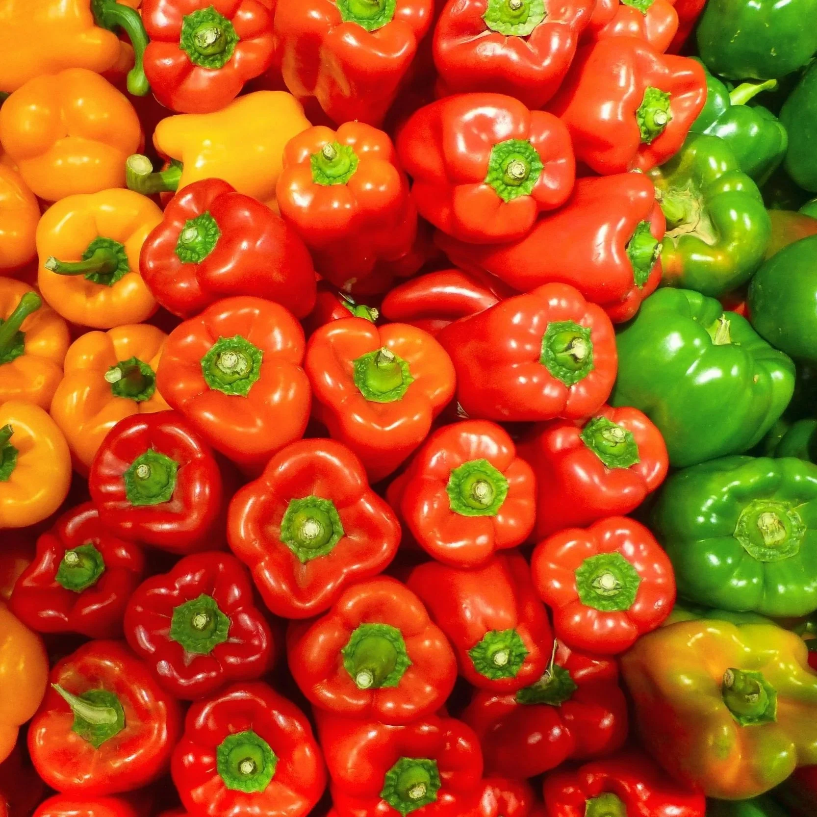 Sweet Peppers