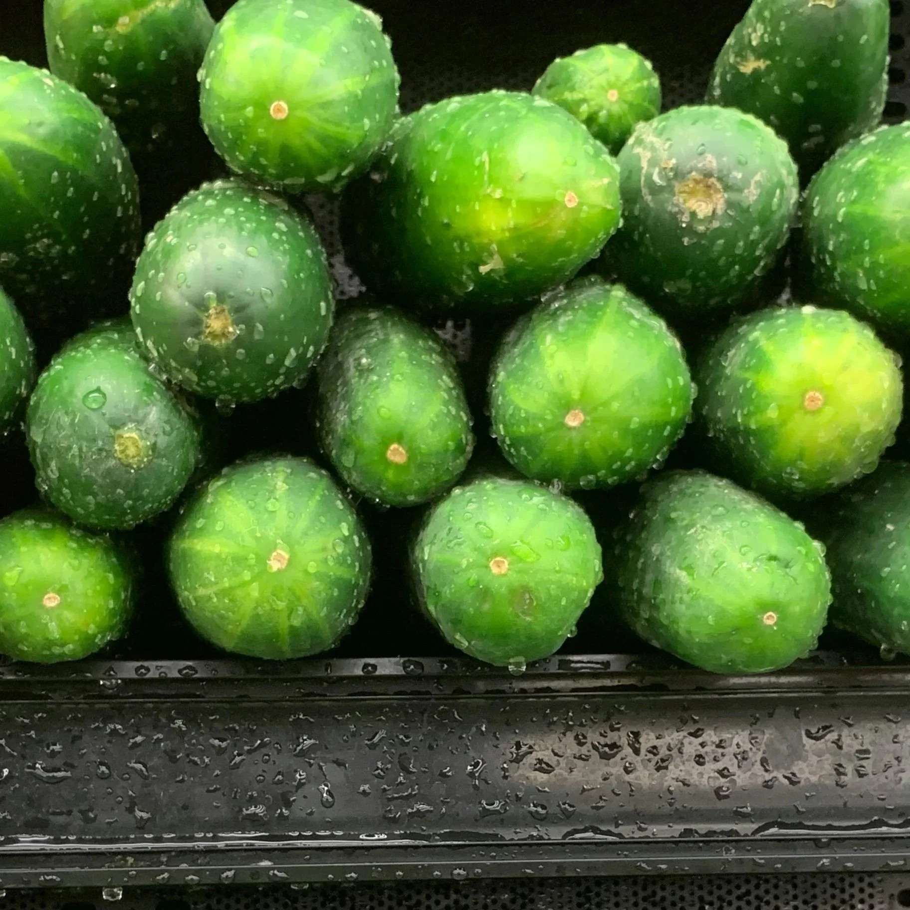 Cucumbers