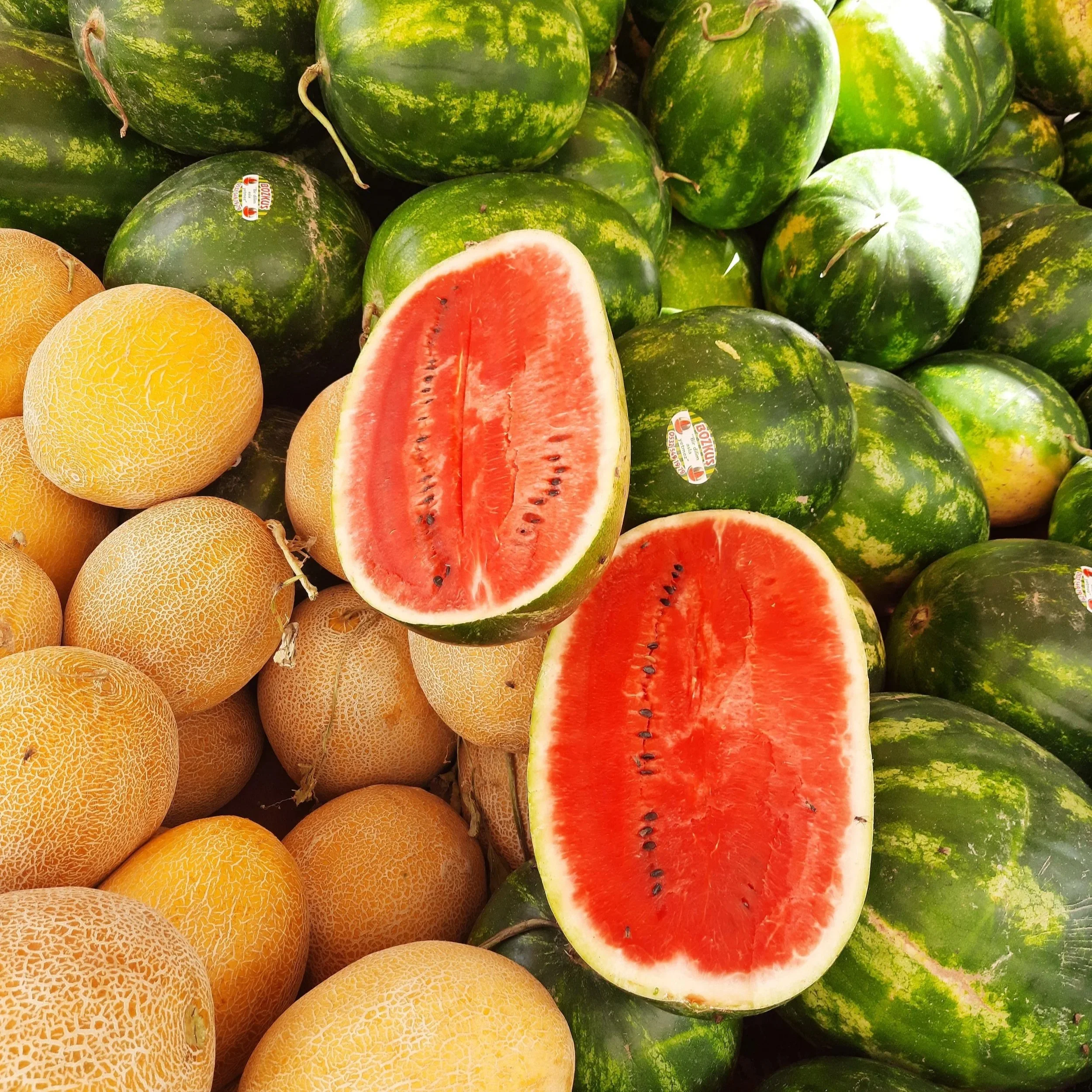 Melons