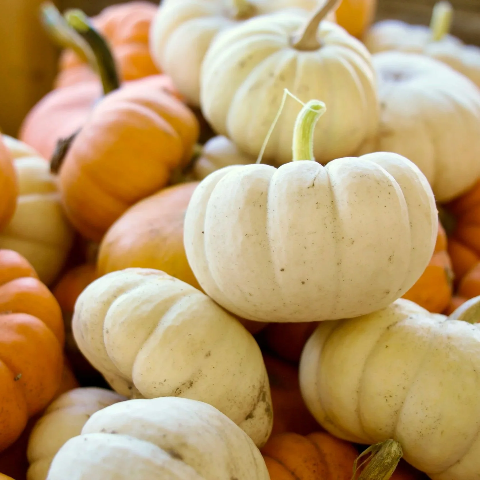 Pumpkins