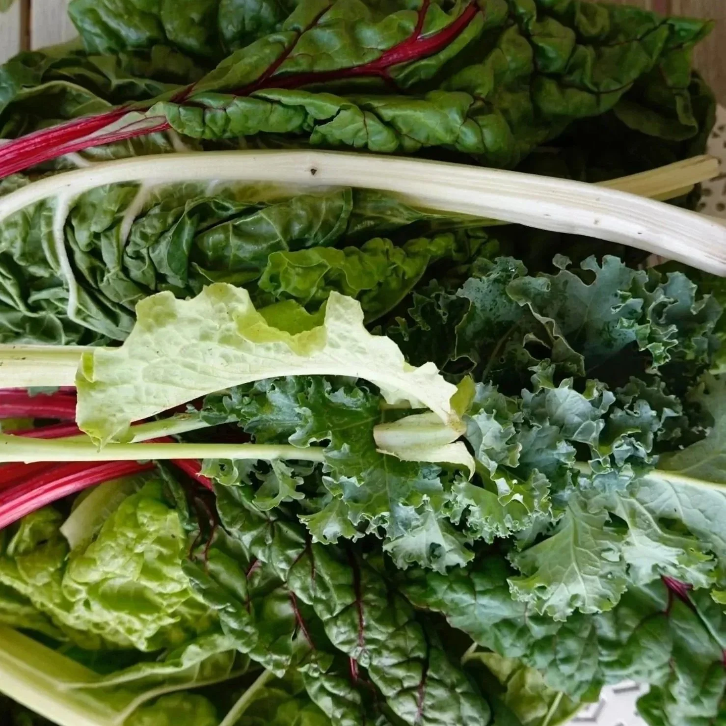 Salad & Cooking Greens