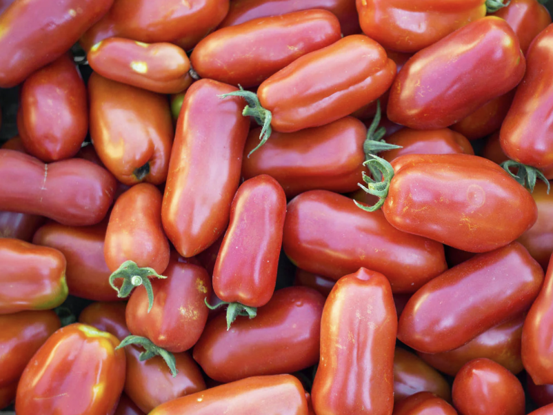 San Marzano Tomato