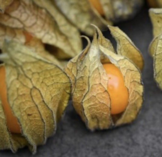 Cape Gooseberry Tomatillo