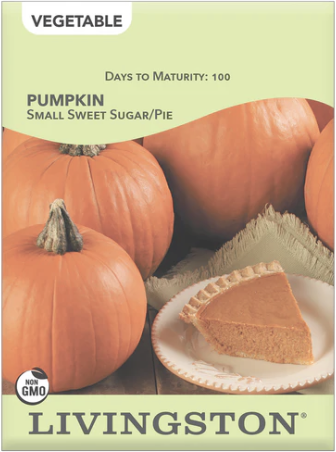 Pumpkin Small Sweet Sugar/Pie