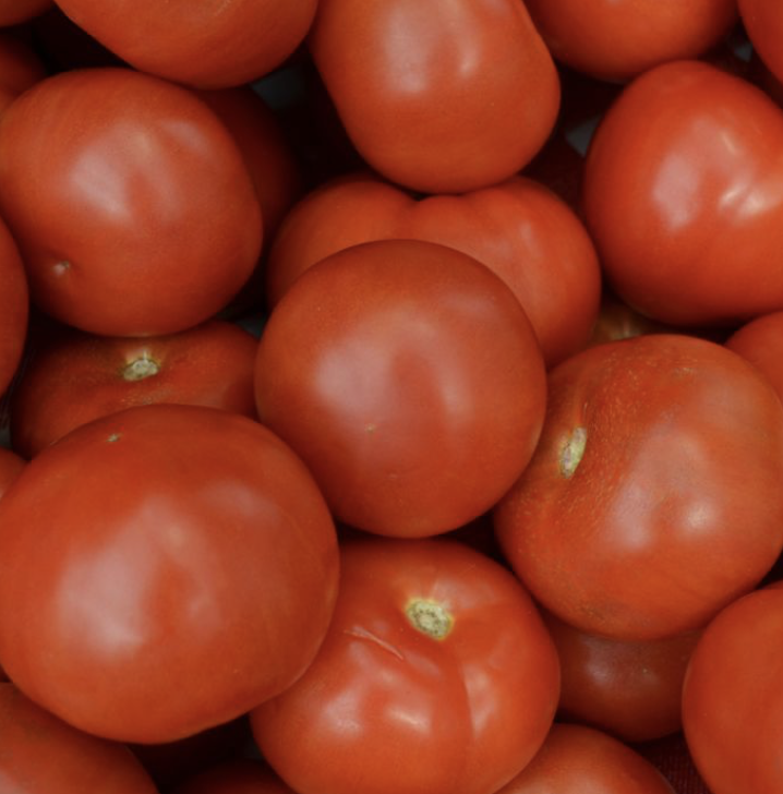 Super Fantastic Tomato