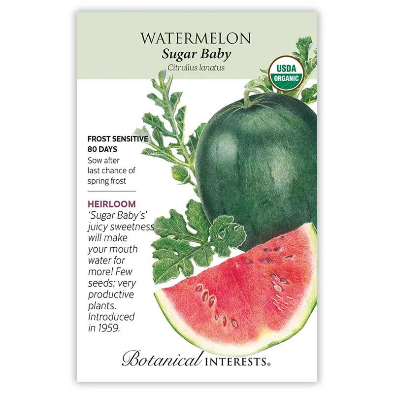 Watermelon Sugar Baby Heirloom