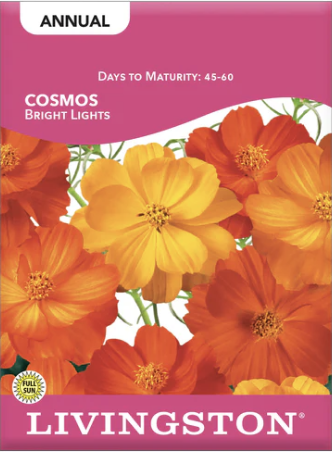 Cosmos Bright Lights