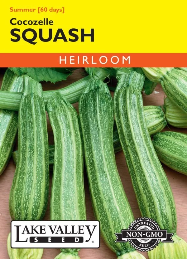 Squash Cocozelle Heirloom