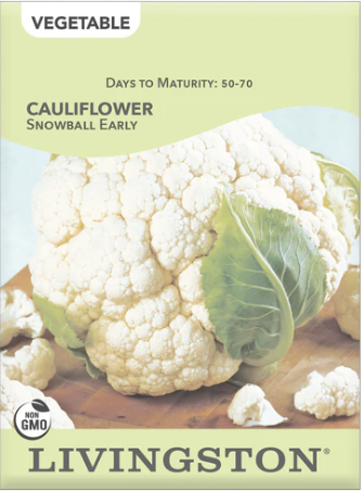 Cauliflower Snowball Early