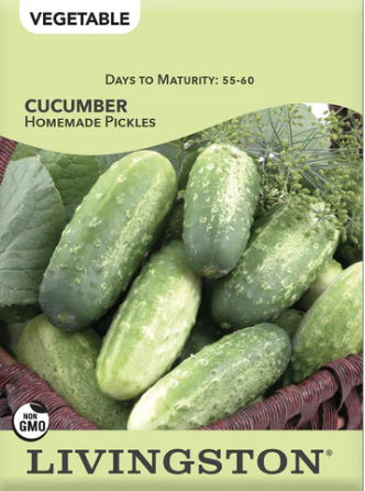 Cucumber Homemade Pickles