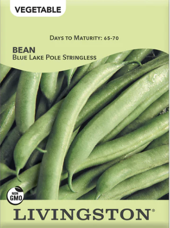 Bean Blue Lake Pole Stringless