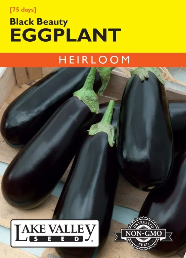 Eggplant Black Beauty Heirloom