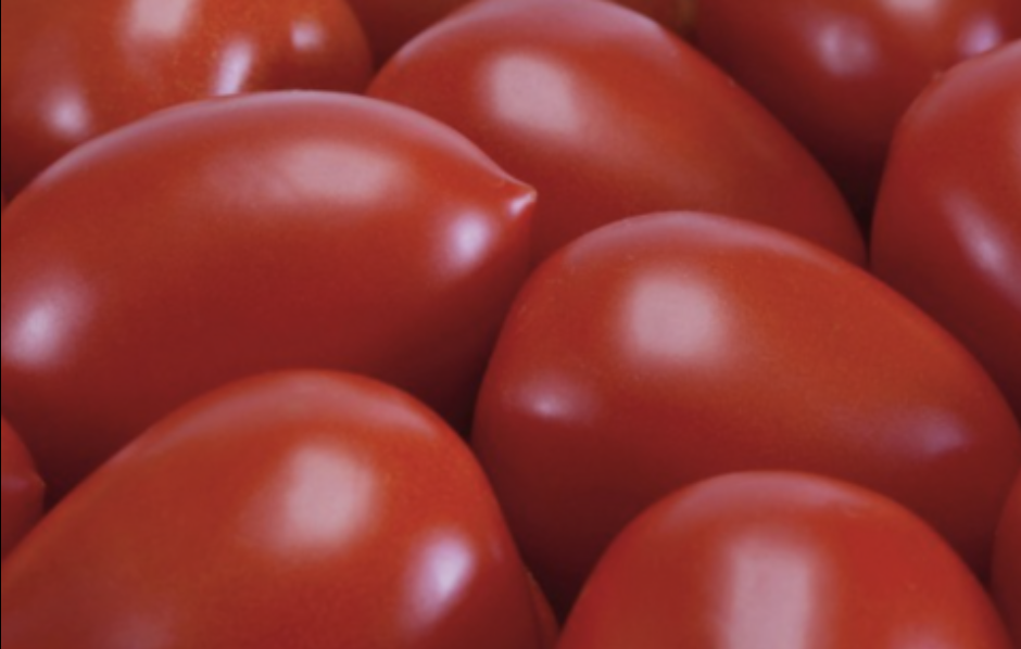 Roma Tomato