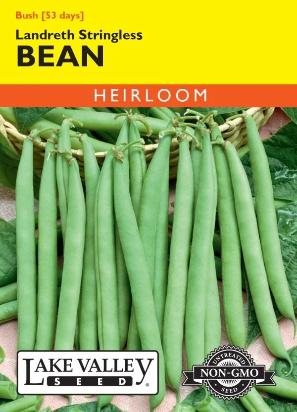 Bean Landreth Stringless