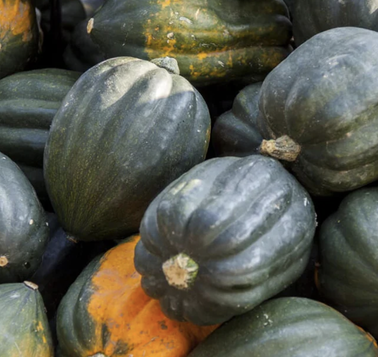 Table Ace Acorn Squash