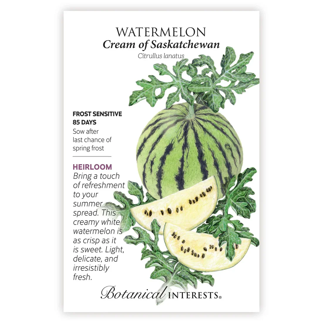 Watermelon - Cream of Saskatchewan Heirloom