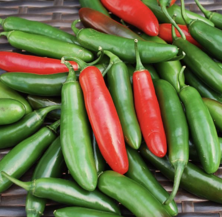 Tampiqueno Serrano Pepper