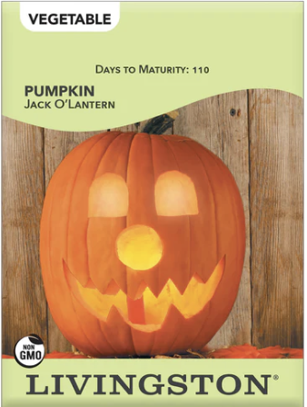 Pumpkin Jack O'Lantern