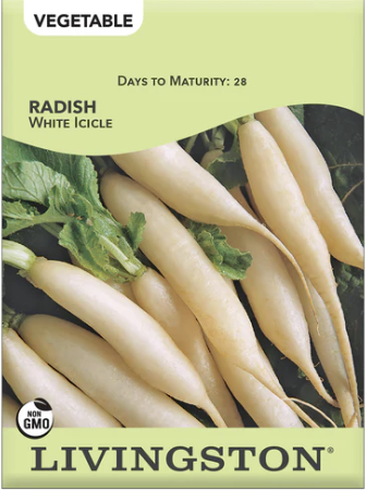 Radish White Icicle